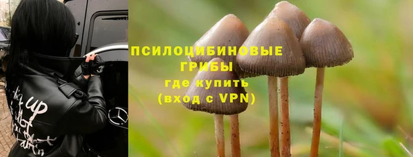 МДПВ Абаза