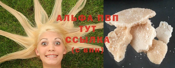 молекула духа Алексеевка