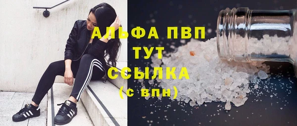 молекула духа Алексеевка
