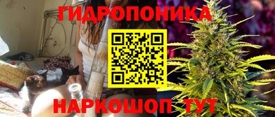 гашик Татарск