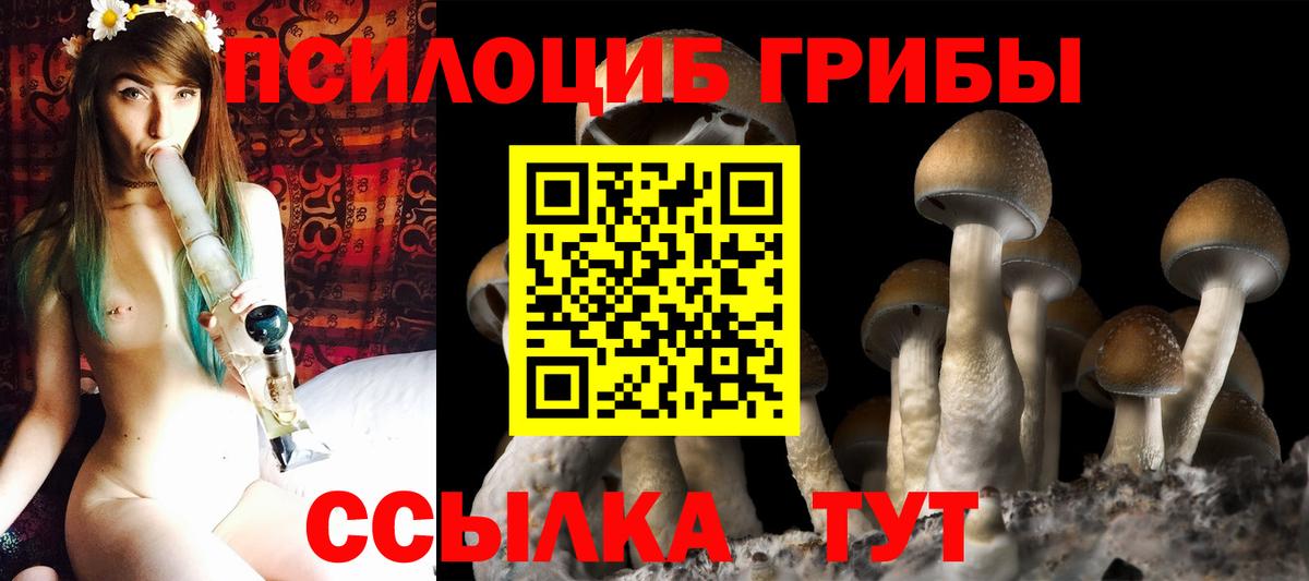 Галлюциногенные грибы мухоморы  Псилоцибиновые грибы Cubensis  купить   Вход с VPN  Полевской 